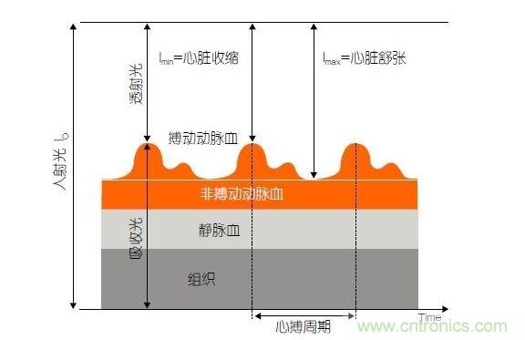 PPG測(cè)量中檢測(cè)器信號(hào)的產(chǎn)生。照射皮膚的光線(I0)被靜脈血或動(dòng)脈血吸收，或反射回檢測(cè)器。信號(hào)的變化分量對(duì)應(yīng)著與心跳同步變化的動(dòng)脈血流量。這個(gè)信號(hào)的變化周期指示了脈率。最小和最大檢測(cè)器信號(hào)的比值(光電流Imin/Imax)為判斷血氧飽和度提供了依據(jù)。