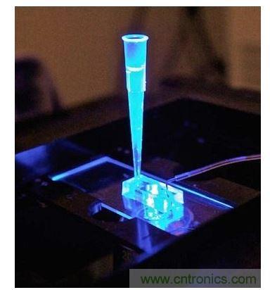 加州柏克萊大學所開發(fā)的“心臟單芯片”用以放置從成人干細胞產出的人類心臟組織，該系統(tǒng)有一天可望替代實驗動物應用于藥物安全篩檢