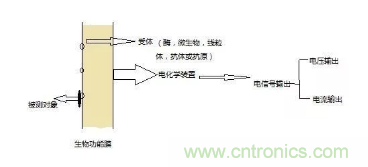 仿生傳感器的定義、原理、分類及應(yīng)用