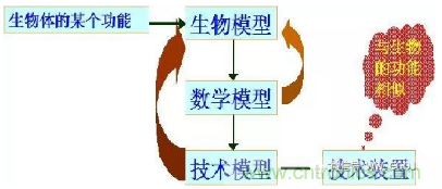 仿生傳感器的定義、原理、分類及應(yīng)用