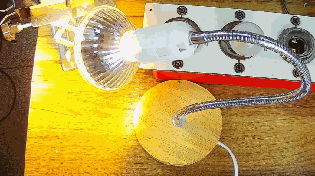 電燈泡內(nèi)通有交流電，為什么看不到燈泡在閃爍？