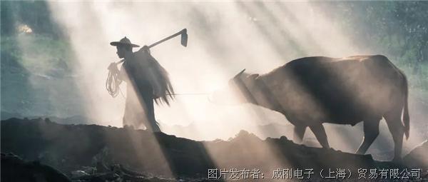 智慧農(nóng)業(yè)大有可為，“數(shù)字種地”更輕松